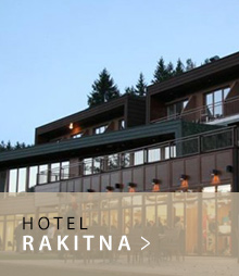 Hotel Rakitna